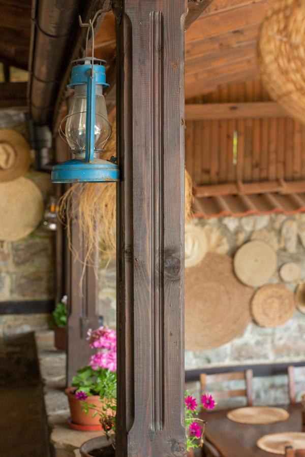 Villa Sol Солнечный берег Экстерьер фото